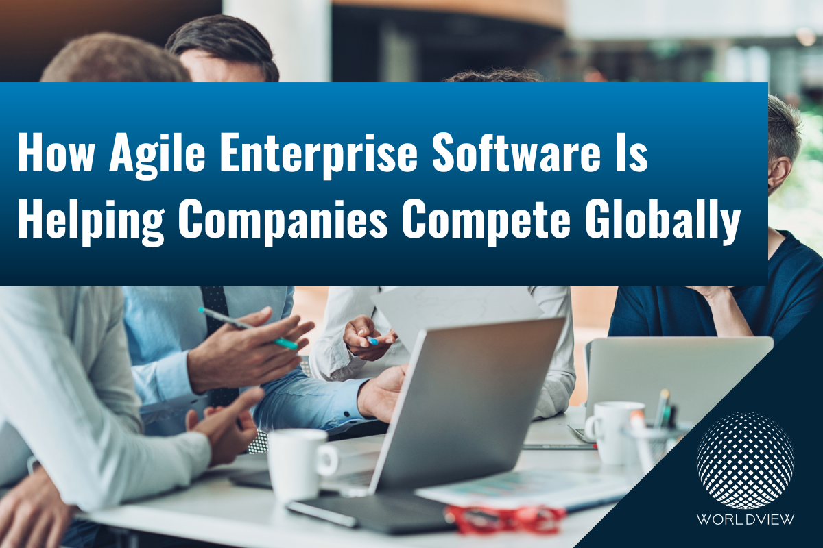 How Agile Enterprise Software Is Helping Companies Compete Globally